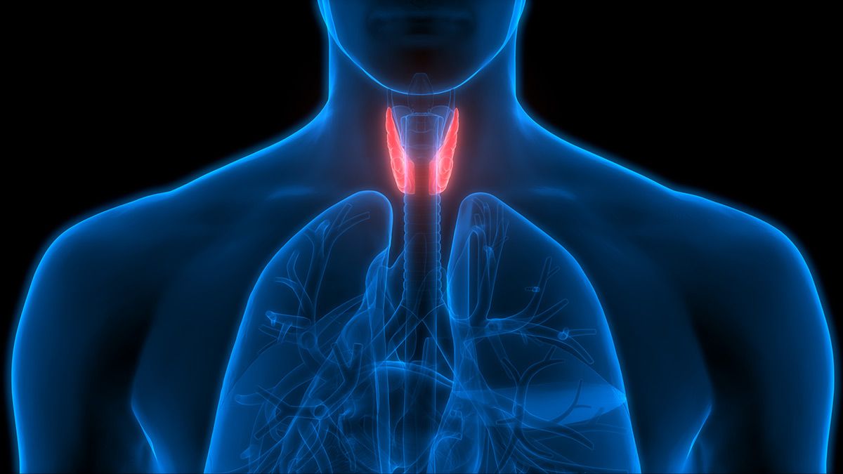 thyroid functioning 